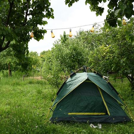 Noosh Guesthouse Ashnak Экстерьер фото