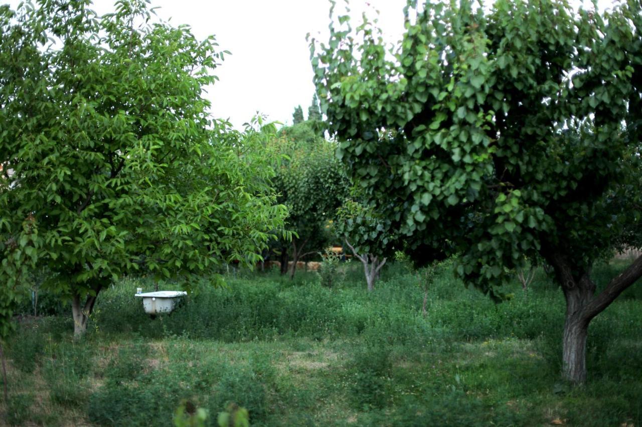 Noosh Guesthouse Ashnak Экстерьер фото